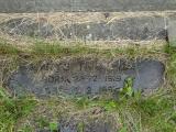 image of grave number 325616